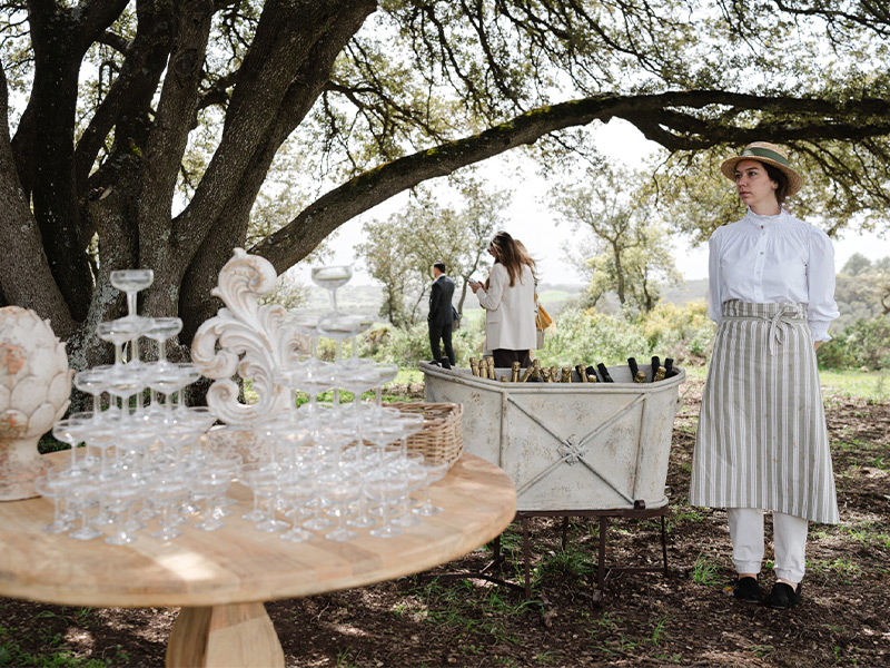 Copas de champán Pompadour y cristalería para eventos